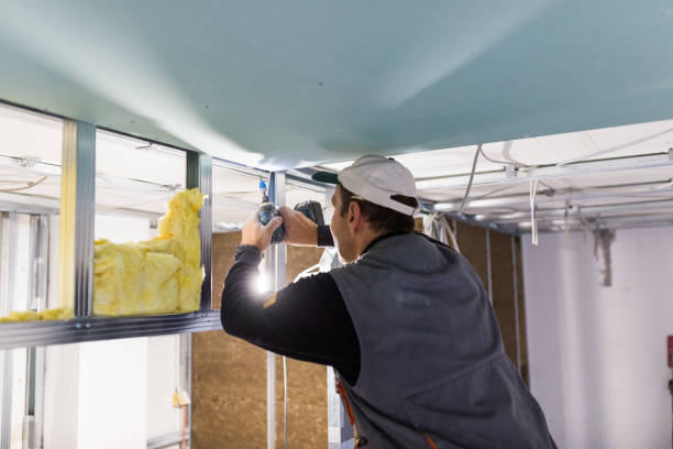 Best Geographic-Specific Insulation Services in Hiram, GA
