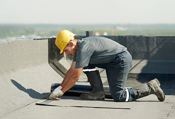 Best Cellulose Insulation in Hiram, GA